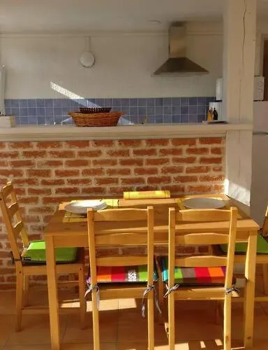 Les Vignes Et La Pinede Pres De La *