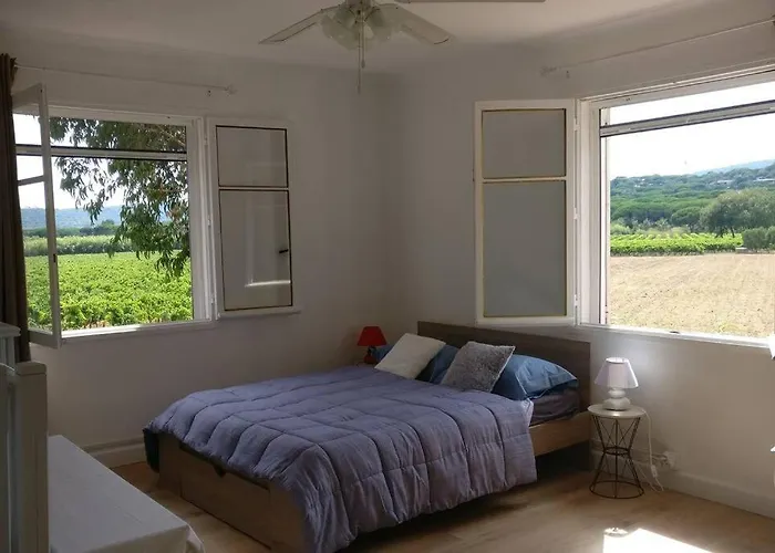 Les Vignes Et La Pinede Pres De La Saint-Tropez