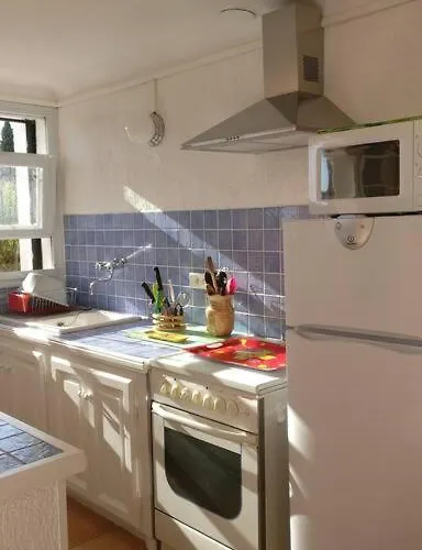 Les Vignes Et La Pinede Pres De La * Saint-Tropez