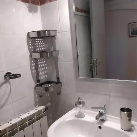 Les Vignes Et La Pinede Pres De La *