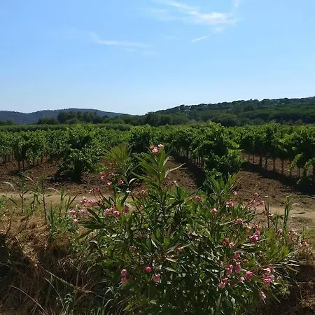 アパート Les Vignes Et La Pinede Pres De La