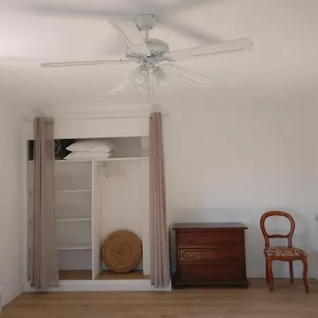 Les Vignes Et La Pinede Pres De La Apartment *