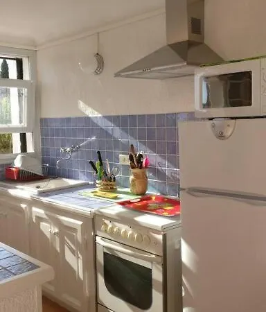 Les Vignes Et La Pinede Pres De La * Saint-Tropez