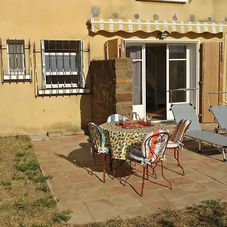 Les Vignes Et La Pinede Pres De La *