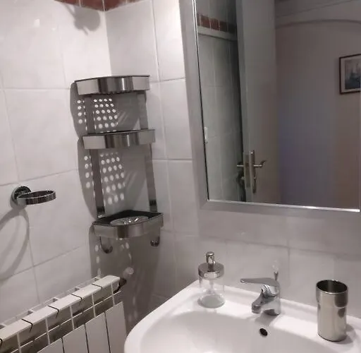 Les Vignes Et La Pinede Pres De La *