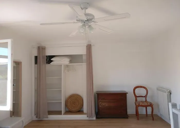 Les Vignes Et La Pinede Pres De La Apartment *