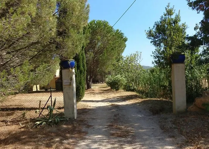 Les Vignes Et La Pinede Pres De La Apartment *
