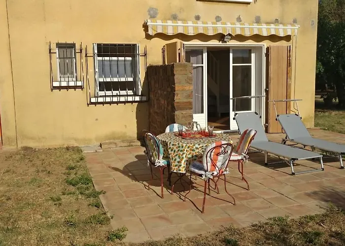 Les Vignes Et La Pinede Pres De La *